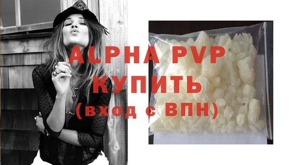 PSILOCYBIN Переславль-Залесский
