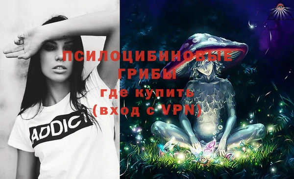 PSILOCYBIN Переславль-Залесский