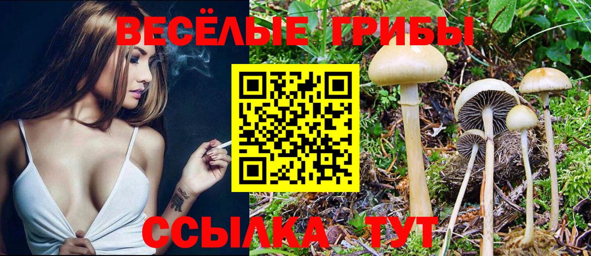 Галлюциногенные грибы MAGIC MUSHROOMS Севастополь