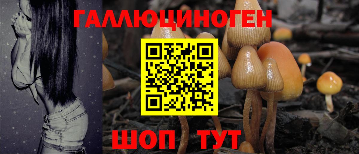 Галлюциногенные грибы MAGIC MUSHROOMS  Галлюциногенные грибы MAGIC MUSHROOMS  Севастополь 