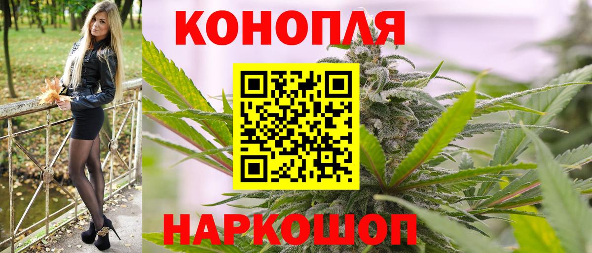 Севастополь  Каннабис сатива  Каннабис Amnesia  Вход с VPN 